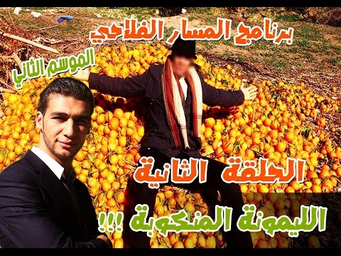 أزمات جديدة تزيد أسعار جني المحصول المغربي