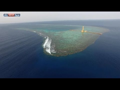 بالفيديو  جزيرة سنقنيب السودانية ضمن أفضل المناطق السياحية في العالم