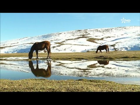 بالفيديو افران المغربية تختزل سحر الطبيعة الجبلية