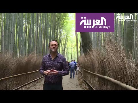 شاهد اين كان يتنزه نبلاء اليابان