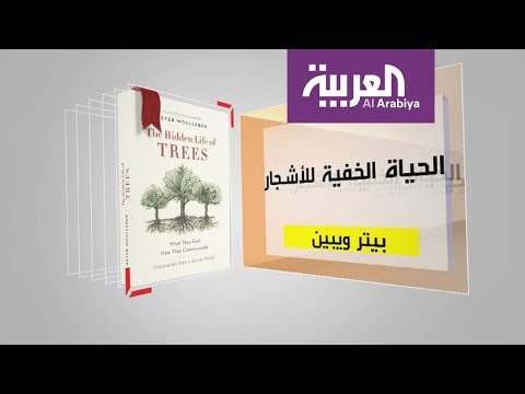 كل يوم كتاب عن الحياة الخفية للأشجار