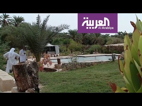 سيوة  وأهميتها السياحية في التاريخ