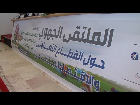 الاقتصاد الاجتماعي يعدّ قطاعًا محدثًا للعمل