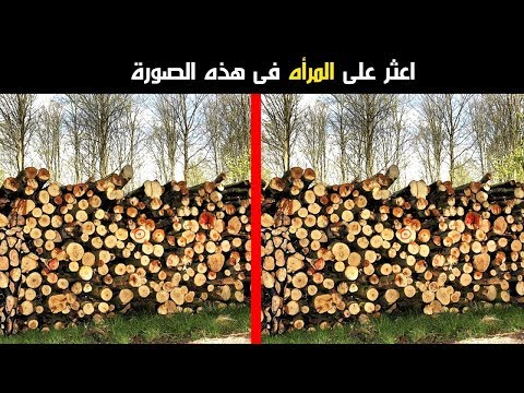 صورًا تختبر قوة نظرك وقدرتك البصرية