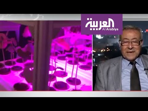 شاهد النباتات تتأثر بمشاعر الإنسان