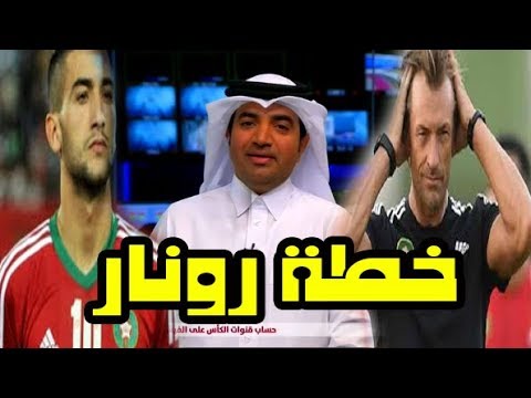 شاهدرونار يضع برنامجًا خاصًا لأسود هولندا وإنجلترا