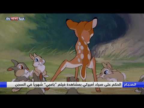 الحُكم على صياد أميركي بمشاهدة فيلم بامبي