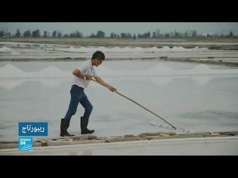 رواج تجارة الملح في الصين وكان ثمنه قديمًا أغلى من الذهب