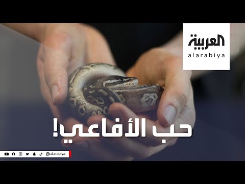 شاهد مركز في أوغندا يعلم حب الأفاعي