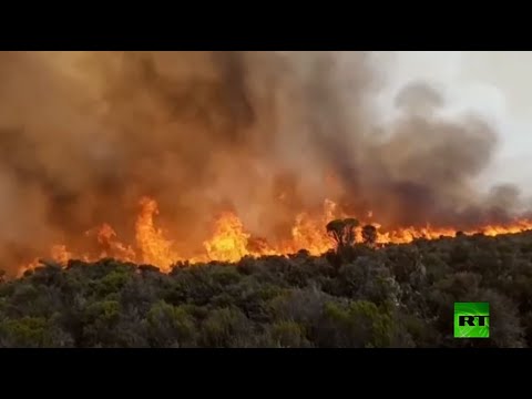 شاهد استمرار الحرائق على جبل كليمنجارو الأعلى في إفريقيا