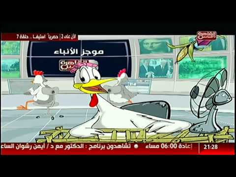 شاهد موجز  أنباء الفراخ  الأطرف على الإطلاق