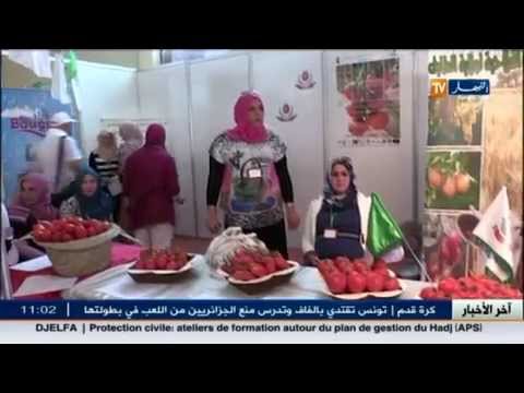 بالفيديو العيد الوطني للطماطم في ولاية الطارف