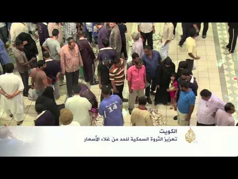 شاهد الكويت تعزز ثروتها السمكية للحد من غلاء الأسعار